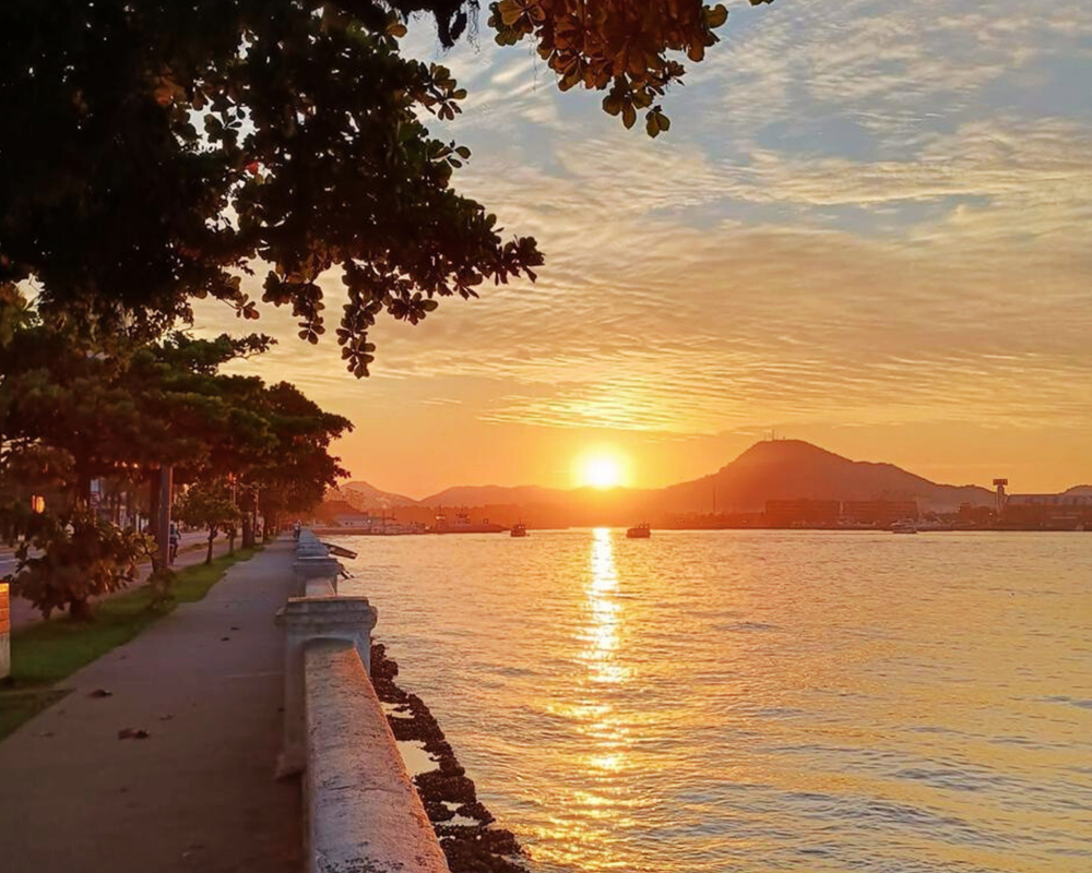 sandra lebrao (500 x 400 mm).png