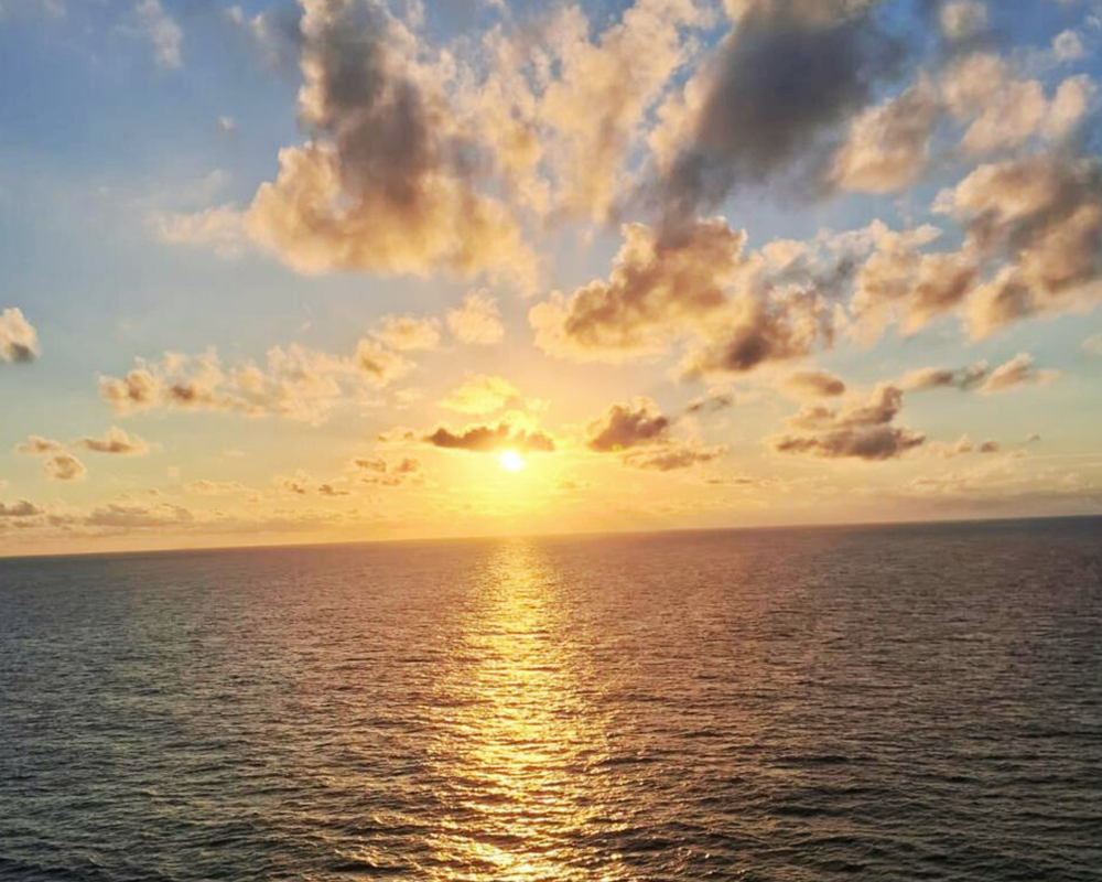 sandra lebrao (500 x 400 mm) (2).png